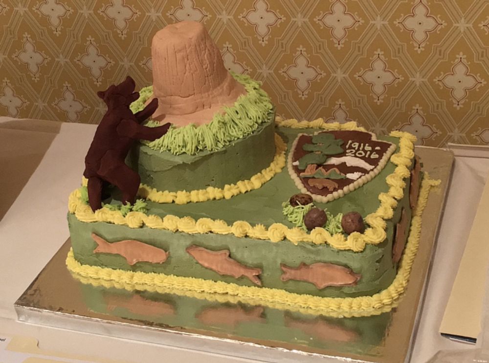 9x13 cake covered in green icing with yellow borders. On the left side is a Devil’s Tower replica made of cake covered in brown icing and a brown bear trying to climb it. On the right side is an emblem for the Park service made from icing. Fish adorn the sides atop icing.