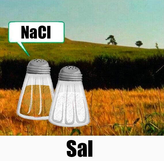 Variación del meme de Sam va lentín en la que hay dos saleros y pone sal 
