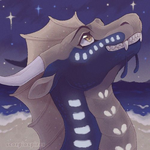 An illustrated bust of a dark blue and tan dragon. She has golden eyes bright with excitement, and several white markings glow along her neck and cheek. She is looking up at a star-filled sky, above a dark sea.