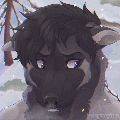 An illustrated bust of an American Akita dog with grey-brown fur and darker, curly hair. He has a worried - and somewhat annoyed - look on his face. The background is a frozen stream between two snowy banks, the nearer of which has an evergreen tree growing on it. A few patches of grass poke through the snow in various places, and snowflakes are falling over the scene.