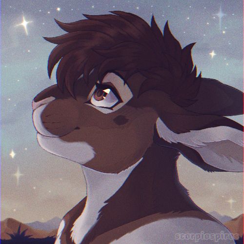 An illustrated bust of a brown and white rabbit. He has tousled dark hair and sparkling brown eyes.  He is standing on a mountain top, looking up at a pale blue and orange morning sky full of twinkling stars. Several other mountains can be seen in the distance.
