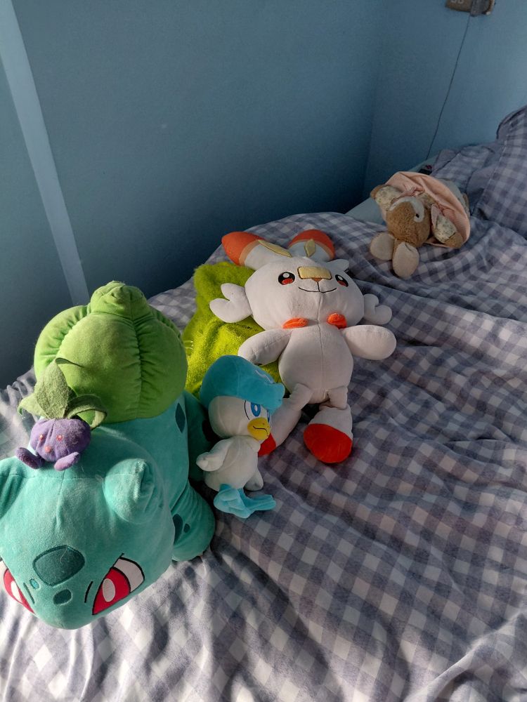 My Pokemon Plush Collection

The Oddish is from 1999
Bulbasaur and Scorbunny were Build A Bear plush
Quaxly was a Christmas present from last year