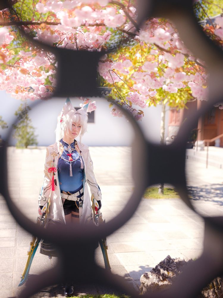 a photo of connie cosplaying Feixiao from Honkai: Star Rail taken through a stone window with a repeating circular pattern. they are standing with one gunblade in each hand in a neutral position. they are looking to the right while standing under a tree filled with cherry blossom flowers. it is a bright, sunny day.