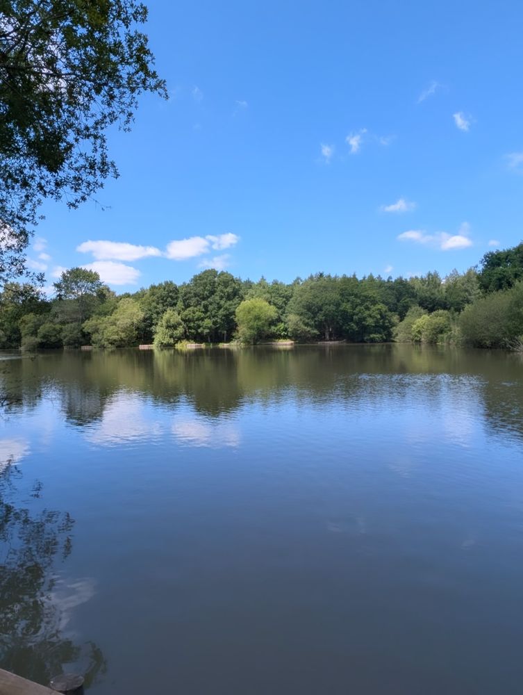 View out over Lodge Pond