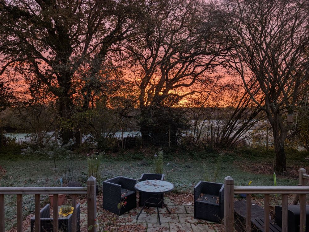 A frosty patio and garden, with mostly bare oak trees silhouetted against an orange and pink sky