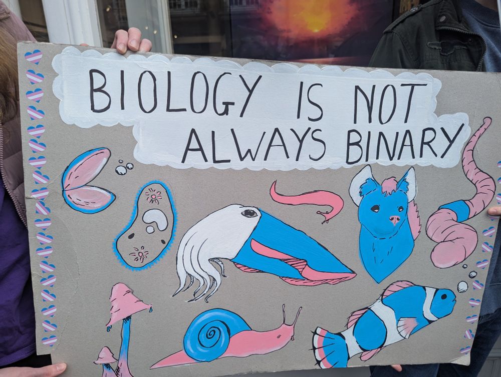 A Cardboard sign saying "biology is not always binary" with pictures in the trans flag colours of various creatures including a snail and a clownfish. 
