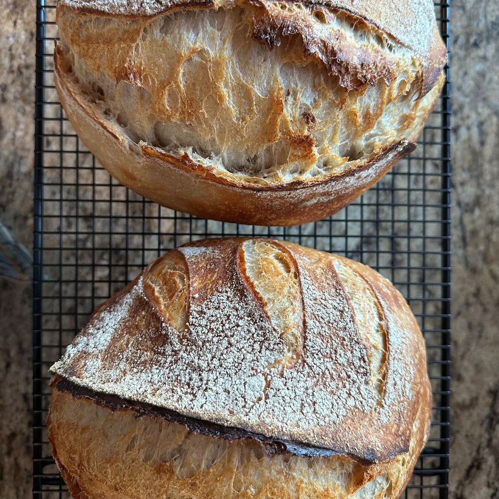 Two loaves of artisanal bread with crusty golden tops are cooling on a wire rack.