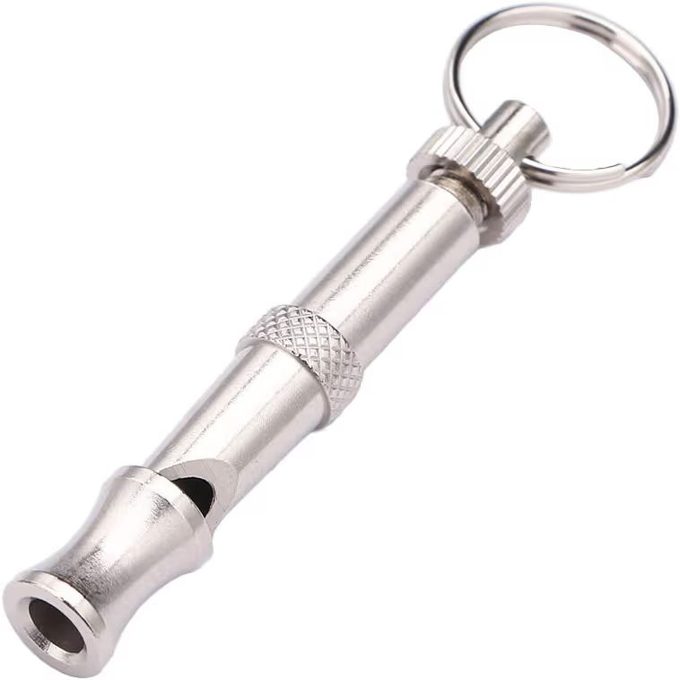 An image of a dog whistle.