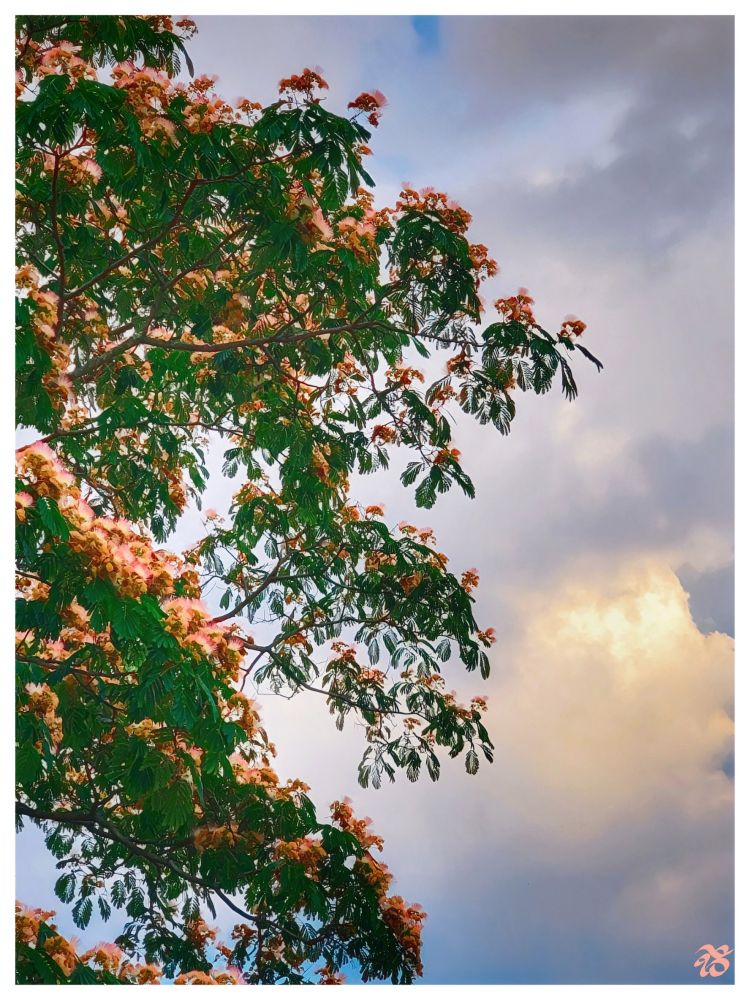 Hashtag — Bluesky Hashtag — Bluesky