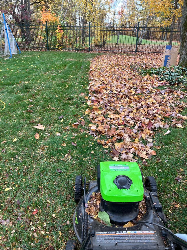 A backyard lawn, half of which is covered with a large amount of dead leaves, with the other half almost completely cleared of said leaves. There is a lawn mower in the foreground.