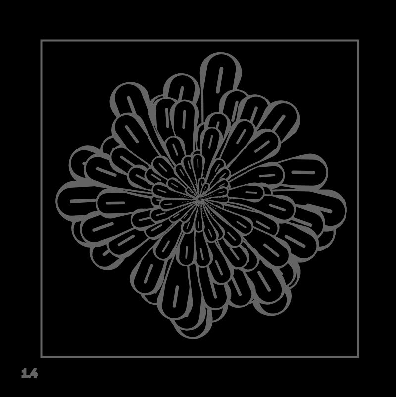 Black flower-like object with dark grey outlines and markings on each petal. Black background. labelled 1.4 in bottom left