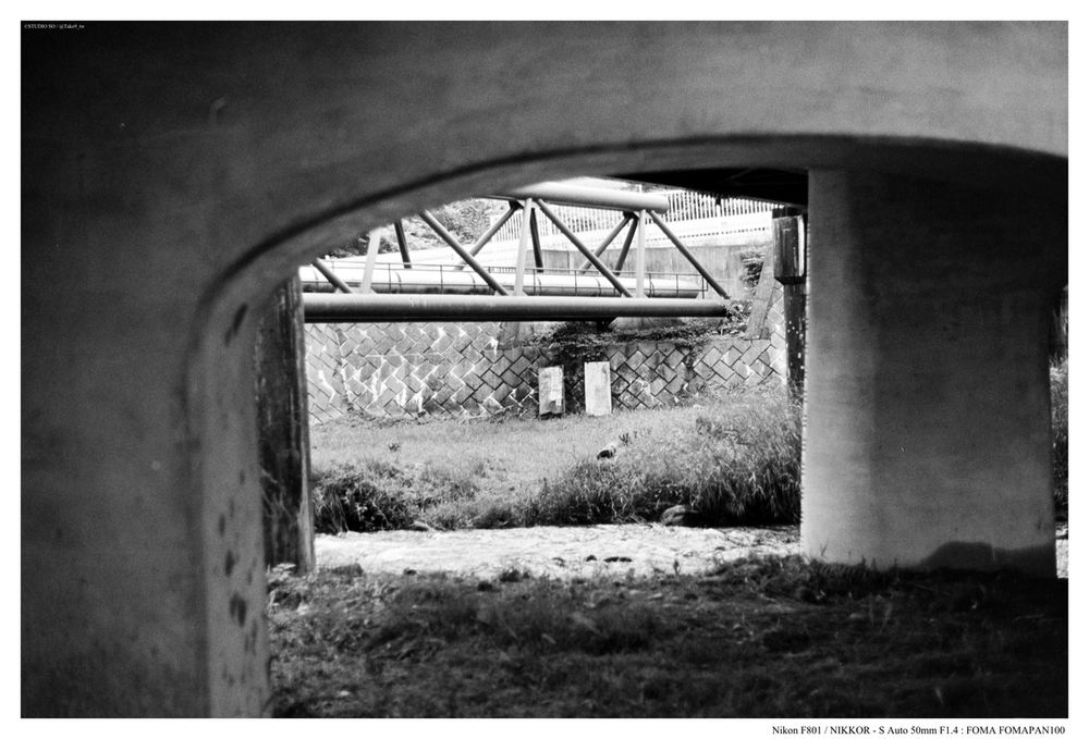 ゴミを取り除き、写真として「完成」したもの。