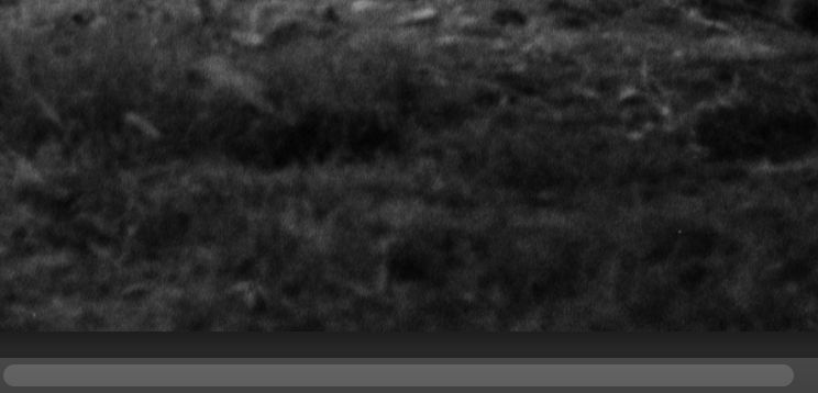 Adobe Photoshopの「削除」機能でゴミが除去されたことを示す画像。