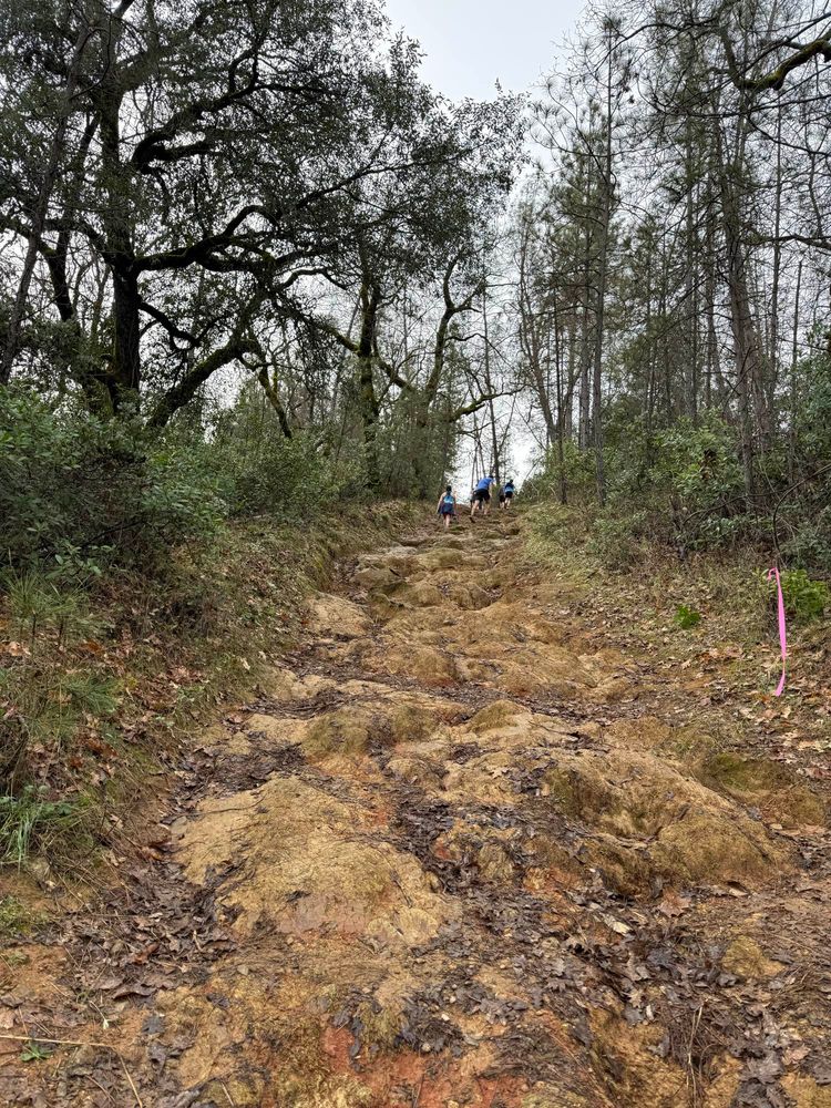 The view up that hill. It went on for awhile. 