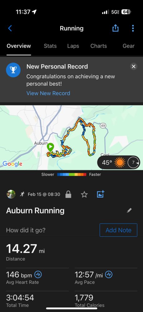 Screenshot of run results
