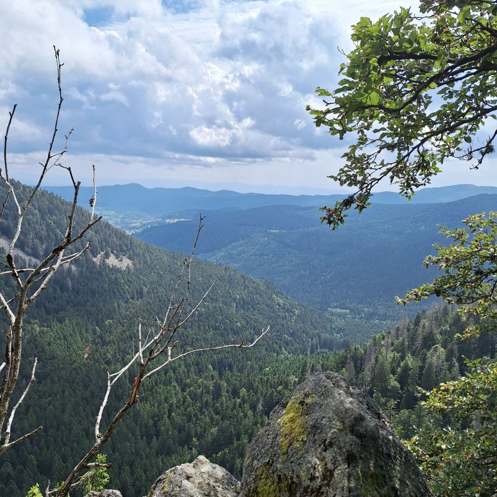 Mountainous landscape taken from high-up.