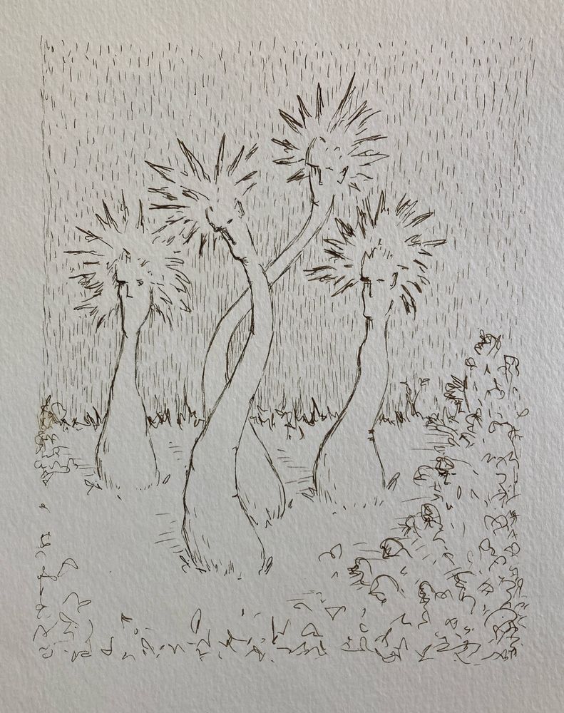 Sketch (line drawing) of four trees (like palm trees) with human faces (but no mouths). 