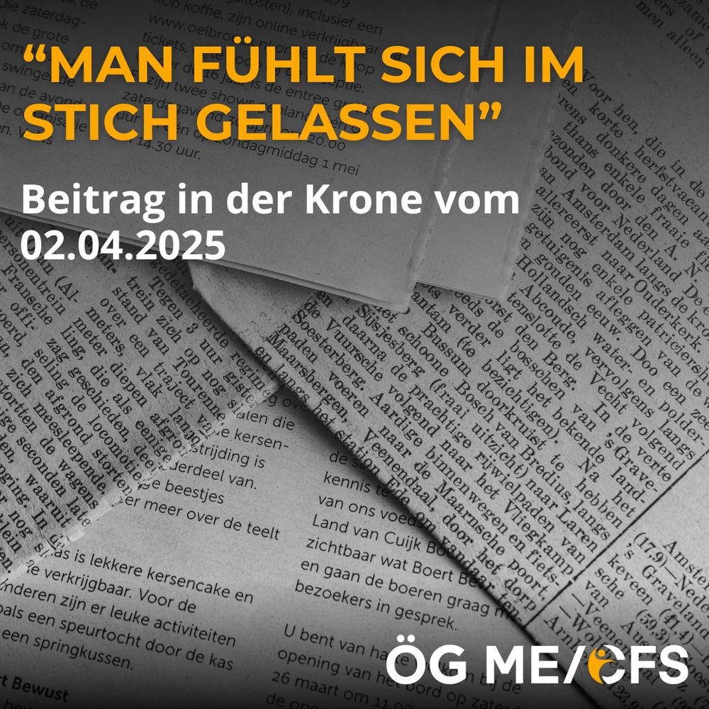 Der Bildtext lautet: “Man fühlt sich im Stich gelassen - Beitrag in der Krone vom 02.04.2025”. Im Hintergrund
sieht man Zeitungsblätter.