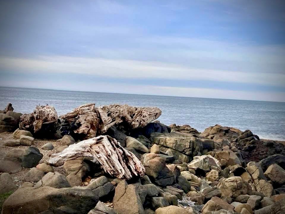 Various large chunks of driftwood lay atop large boulders along a coastal trail.  Background is ocean merging into hazy skies.
