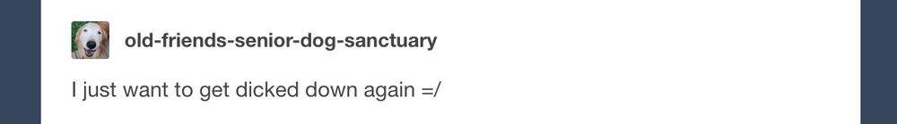 tumblr post from old friends senior dog sanctuary reading "i just want to get dicked down again"