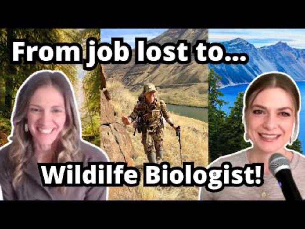 Launching a Successful Wildlife Career After Losing Your Job: Interview with Jamie Bowles