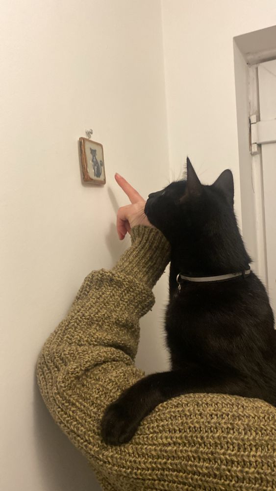 A black cat looking admiringly at his portrait