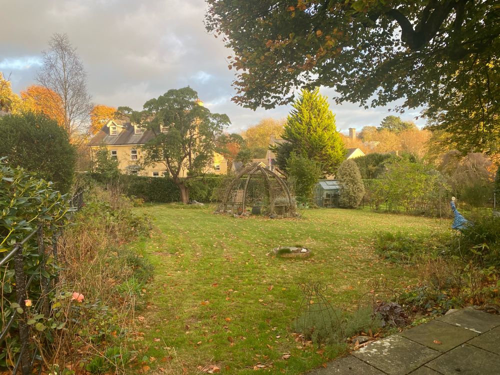 Garden scene with autumn colours
