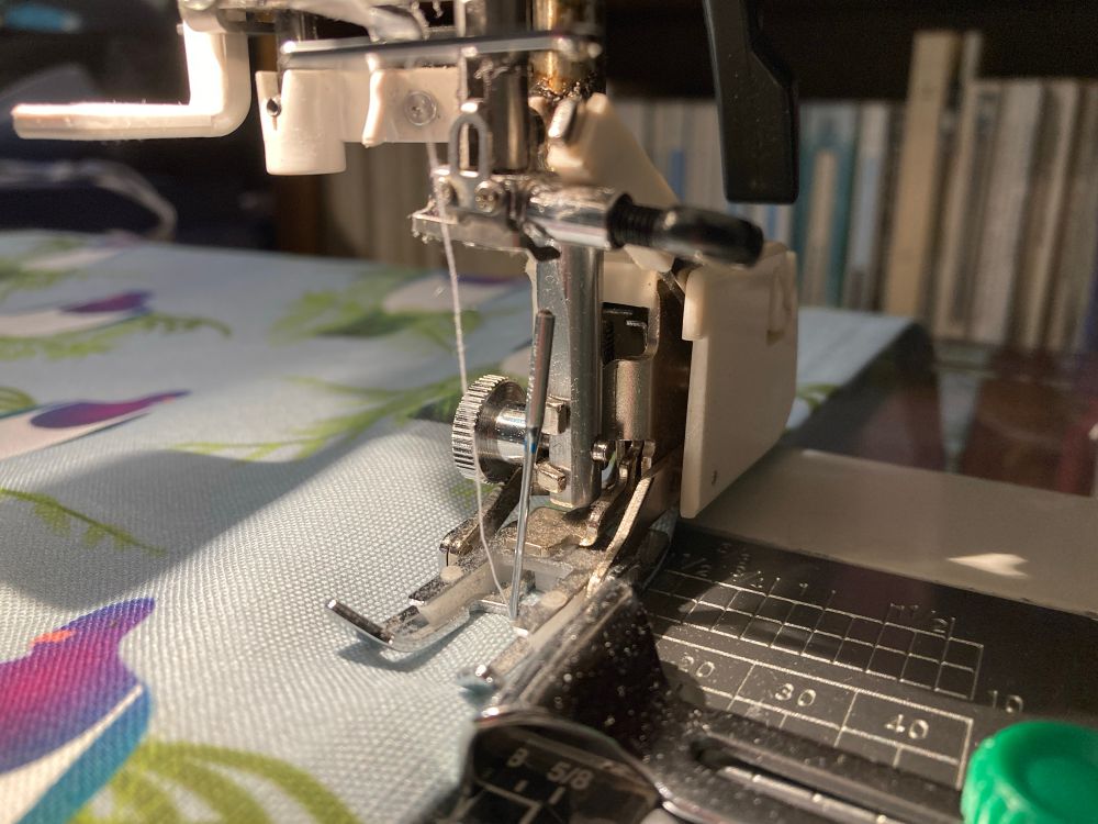Close up of the pointy end of my sewing machine. The needle is piercing the fabric (kererū all over tea towel) through the prongs of the walking foot. The needle holder is in the up position. 