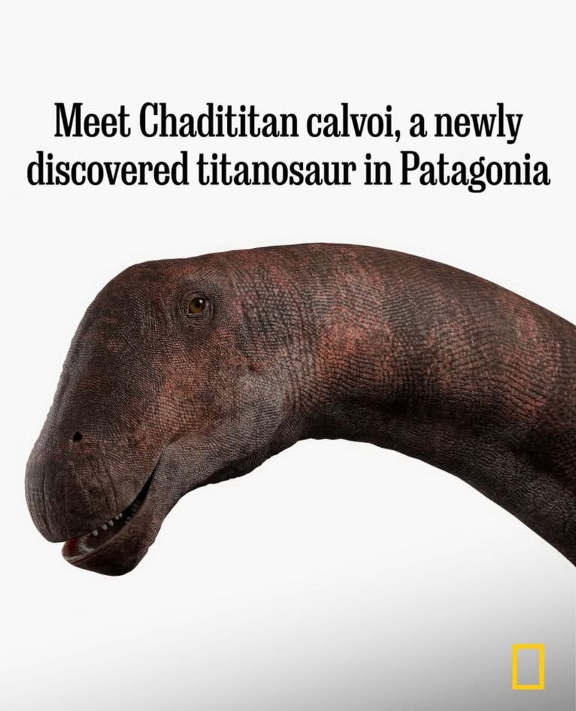A smiling dinosaur