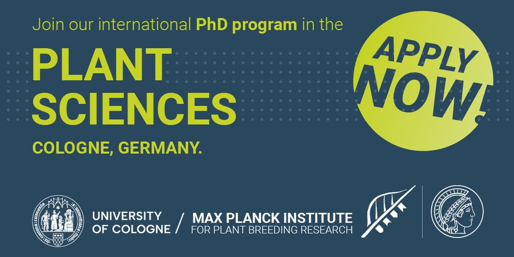 A Banner that shows the open call for the international PhD program on interdisciplinary Plant Biology in Cologne Germany between University of Cologne and Max Planck Institute for Plant Breeding Research. A button reads "apply now!"
