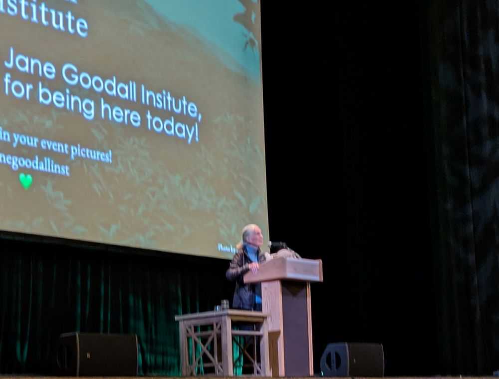 Dr. Jane Goodall speaking at the Lyric Opera House in Baltimore. I was sitting in orchestra row B, so close! She is standing at a podium, just tall enough to reach the microphone. At this point in her presentation, she has a few stuffed animals at the podium with her. She has been holding them up as she talks about the importance of each one. There is a huge screen behind her displaying her information. 