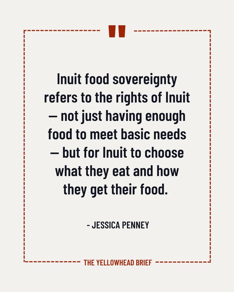 a quote is bordered by a dashed red line. A quotation mark sits at the top centre of the border and “The Yellowhead Brief” is placed in the bottom centre of the border. Inside the border reads: Inuit food sovereignty refers to the rights of Inuit — not just having enough food to meet basic needs — but for Inuit to choose what they eat and how they get their food.