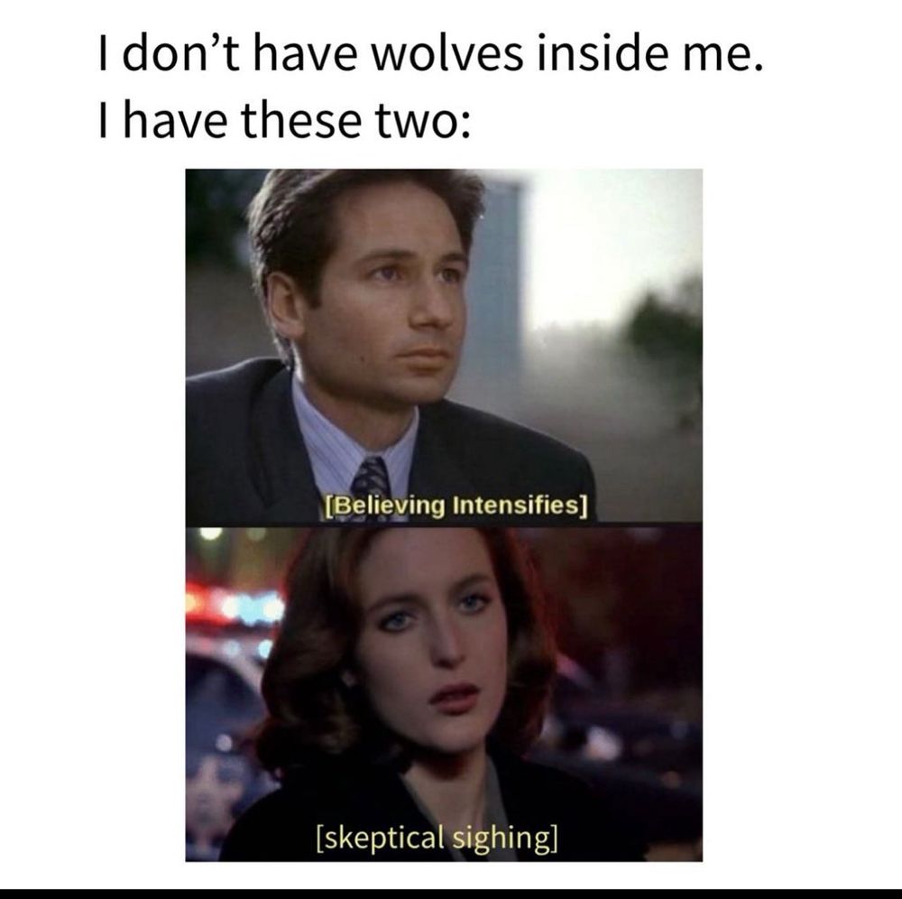 A x files meme that reads, I don't have wolves inside me.
I have these two:
There is an image of Fox Mulder with the text overlay [Believing Intensifies] and directly beneath an image of Dana Scully with the text overlay [skeptical sighing]