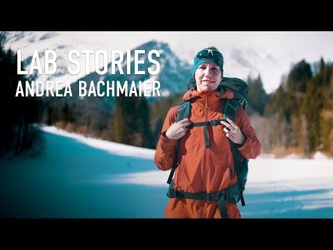 Andrea Bachmaier: Bessere Magnete erzeugen