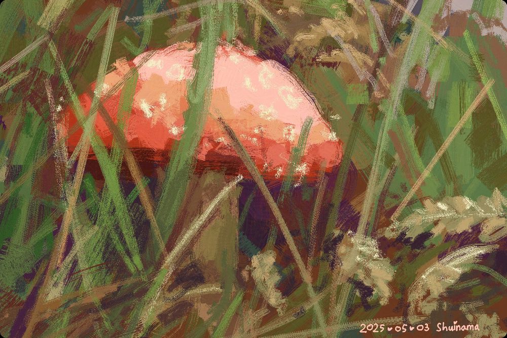 A close up short of a toadstool mushroom in between the slightly taller grass.