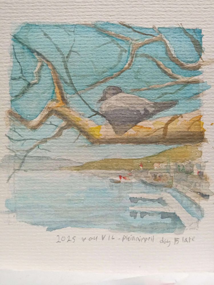 A pigeon perched on the branch of a bare tree, with a view of the harbor below it and wide open waters.