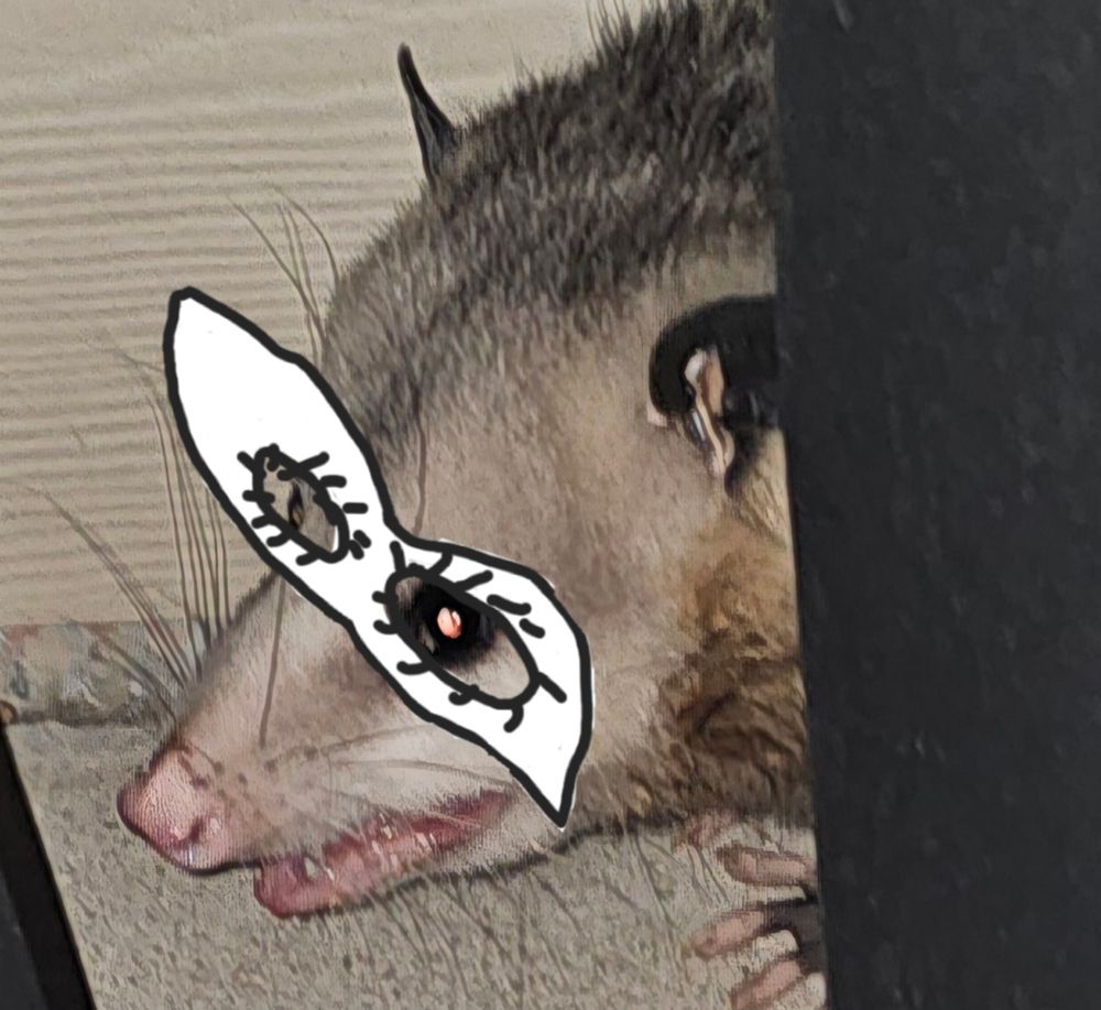 A possum with a poorly drawn mask resembling the mask Joker wears in Persona 5.