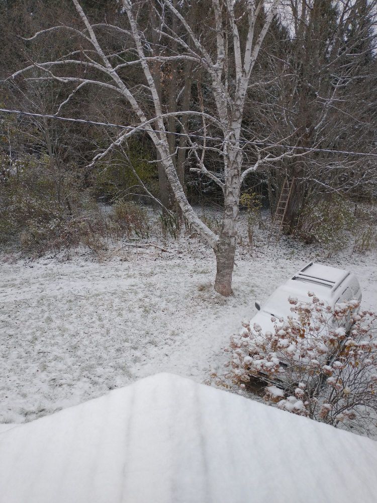 Picture is taken from a second floor window showing part of a roof and yard covered with snow