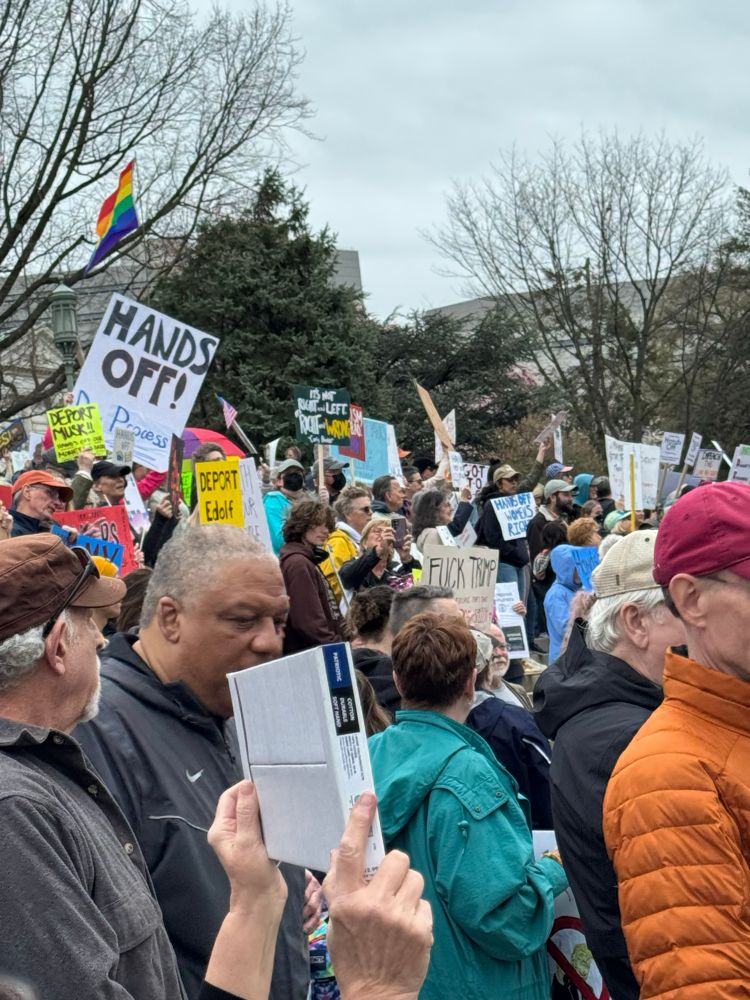 crowd protesting trump 