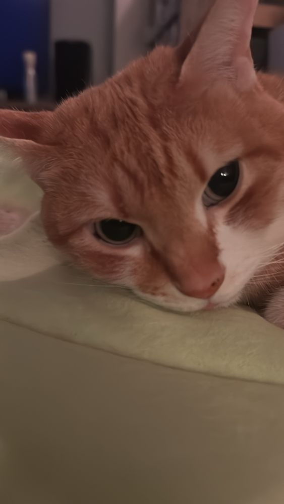 Stewart rests, looking quite pensive. 
