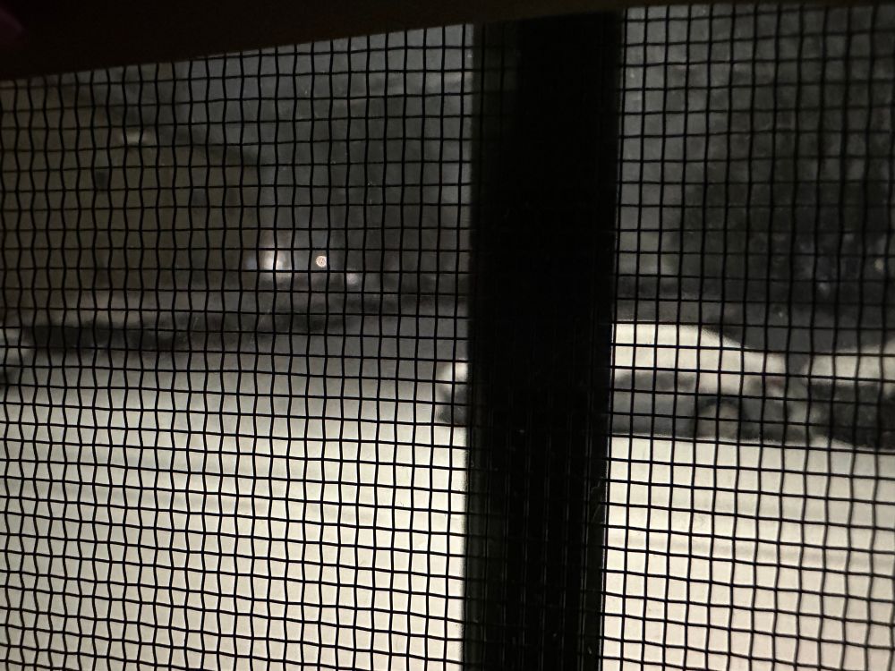 Looking through a window screen to a snow-covered street and parking lot with 6 snow-covered cars visible. 