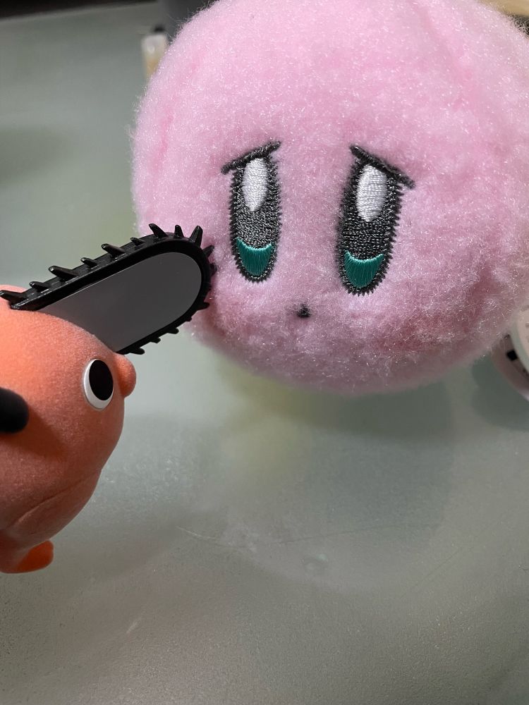 星のカービィとポチタ