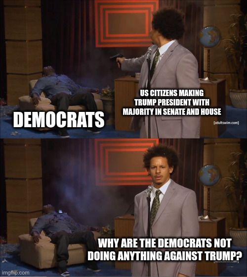 Who Killed Hannibal Meme

guy killed has the label "democrats"

shooting is labelled: "US citizens making trump president with majority in senate and house"

shooter asks: "why are the democrats not doing anything against trump"