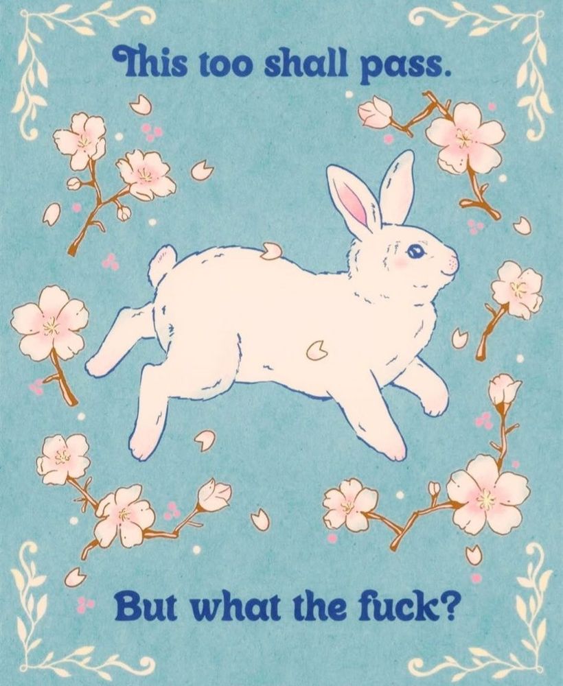 An illustration of a bunny with the words: This too shall pass. But what the fuck? 