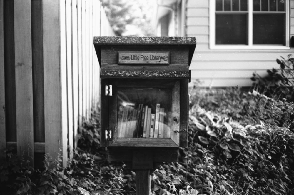 A Little Free Library in the front yard of a house. There is a fence on the left and a few windows on the right. Many books can be seen within the little library.