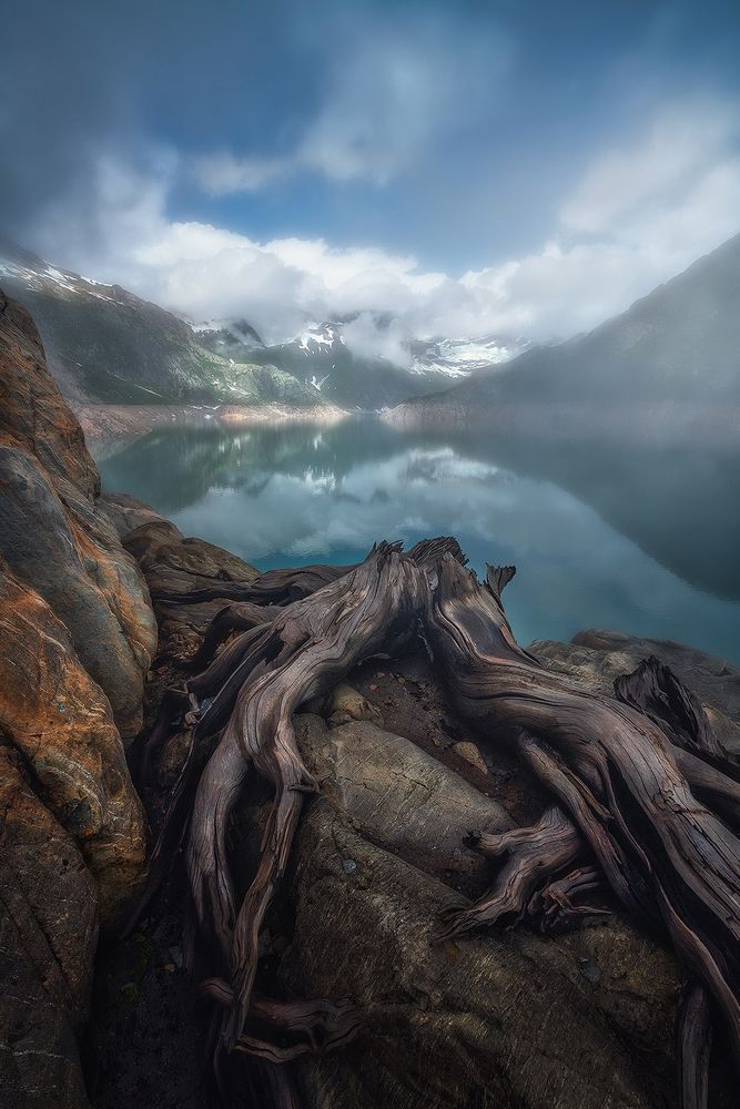 An old tree stump watching over the Emosson lake, as the morning fog is quickly covering the whole landscape…