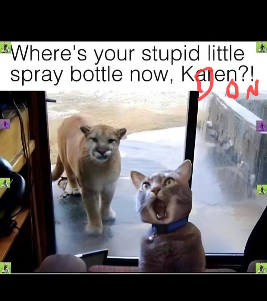 Comment image