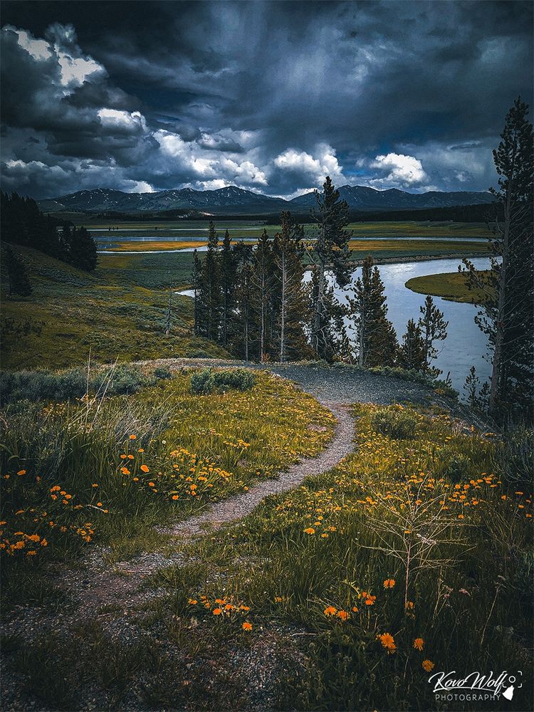 Hayden valley Yellowstone national park during a thunderstorm  