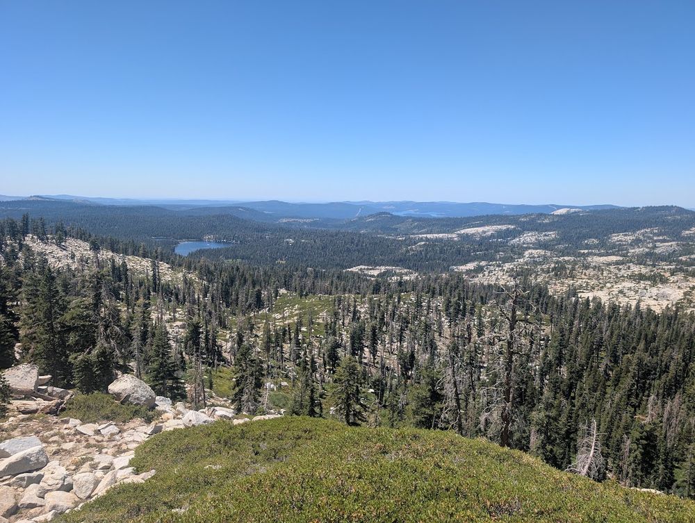 View from high up a mountain looking down at tons of trees and some mountain lakes off in the distance.