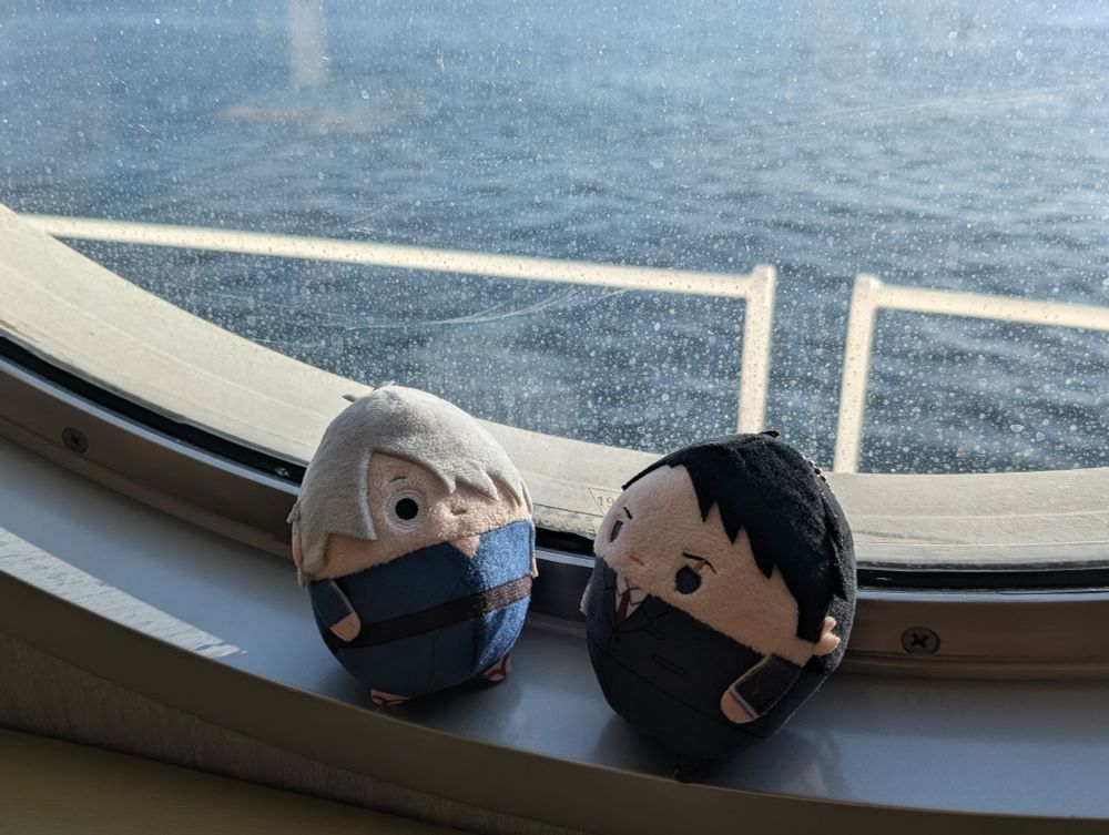 昨夜はお楽しみでしたね